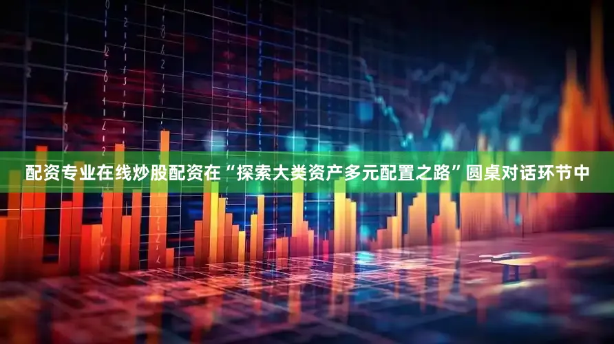 配资专业在线炒股配资在“探索大类资产多元配置之路”圆桌对话环节中