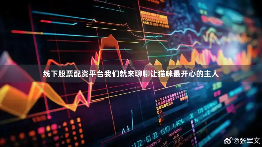 线下股票配资平台我们就来聊聊让猫咪最开心的主人