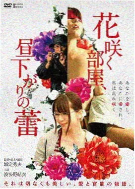 归乡记详情影像,桑田小径与薄荷绿稻秧